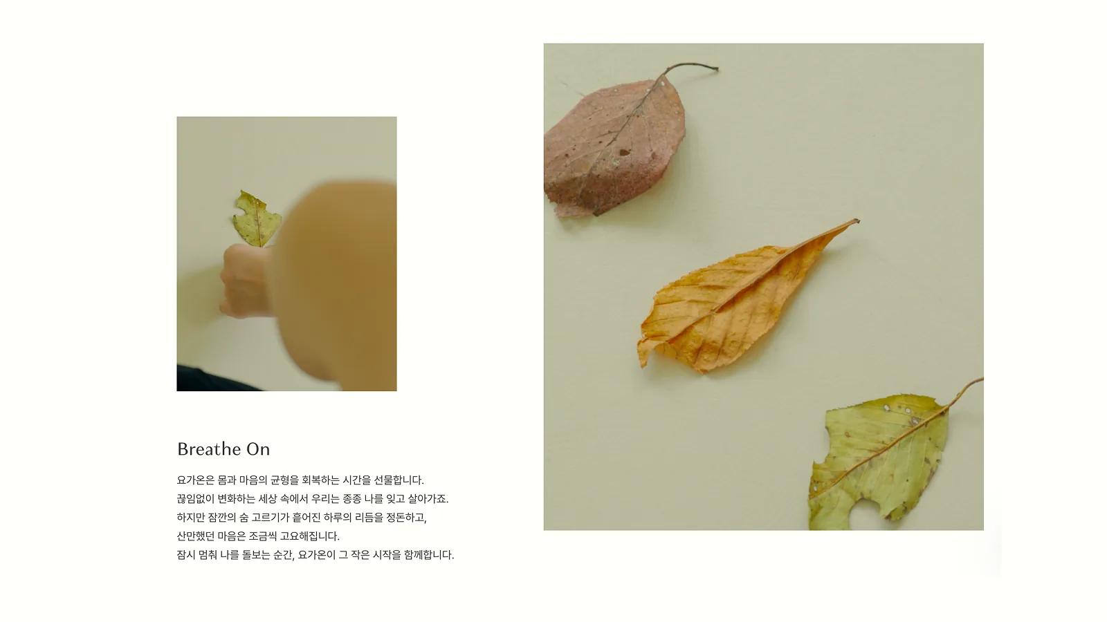 요가온 Breathe On 브랜드 스토리 화면